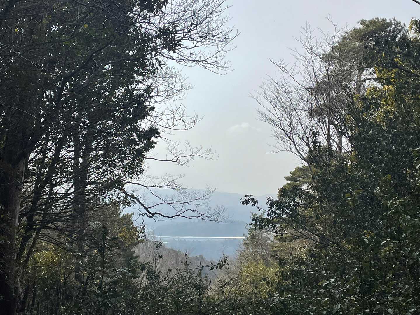 これが唯一のview