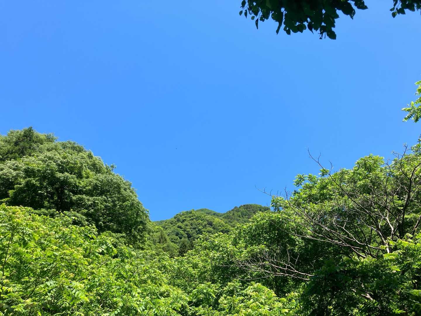 白谷登山口-エコチ谷登山口-鳥越峠-横山岳-横山岳-東尾根 周回コースの写真