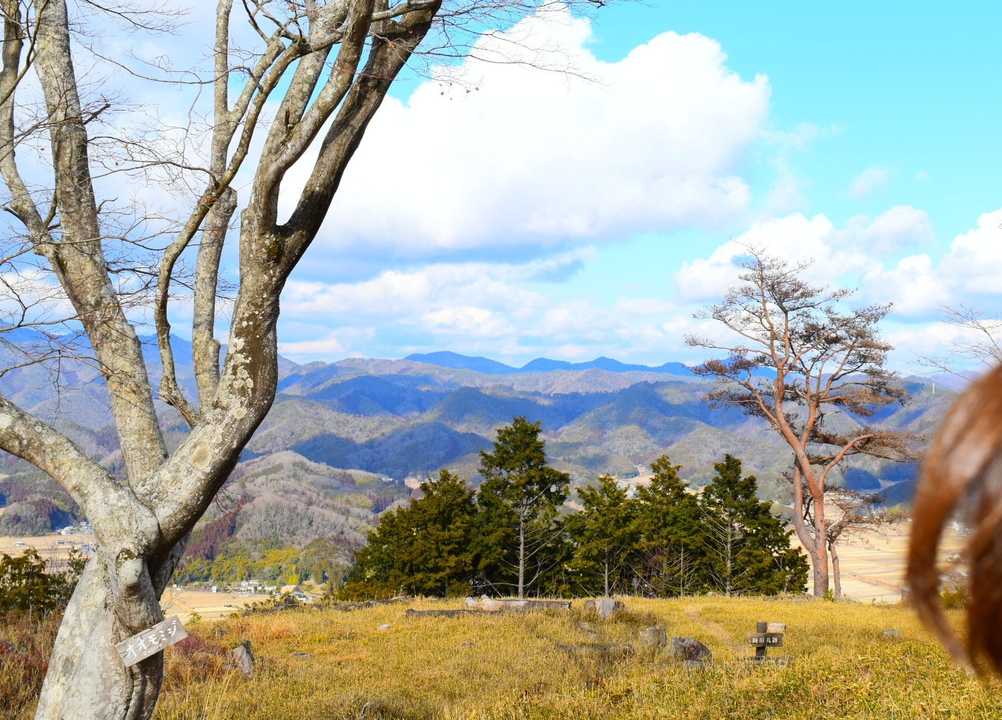 いい天気〰️☀️