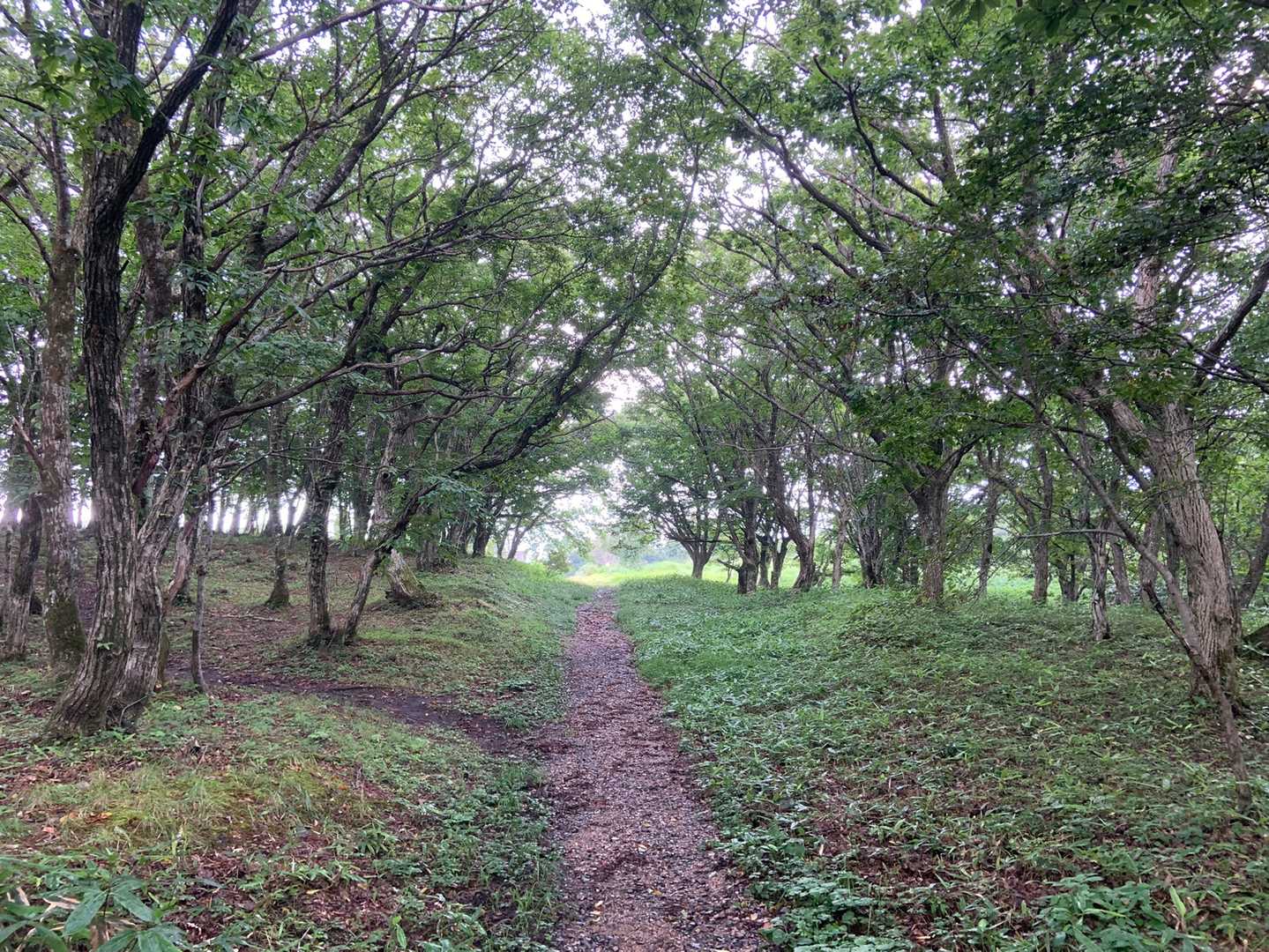 無事下山
近場の山でもちゃんと準備しないといけないと気付からせる登山となりました(◞‸◟)