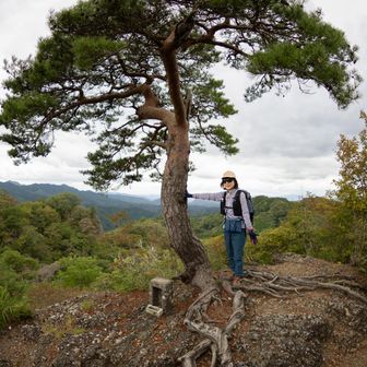鍋足山山頂