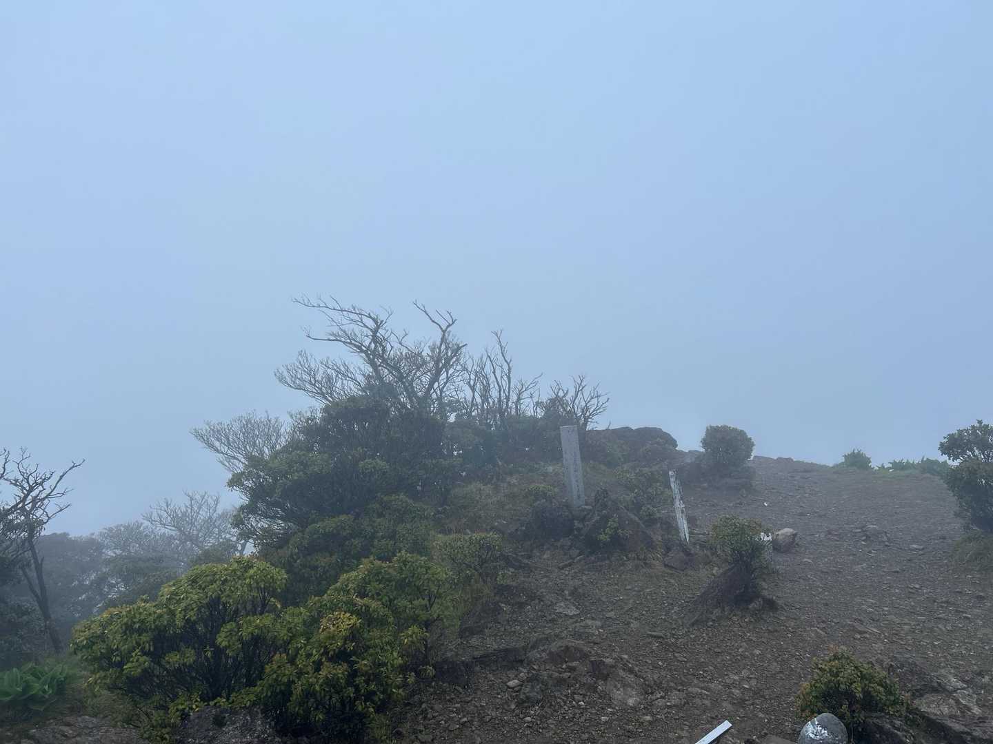 西米良登山口-市房山 往復コースの写真