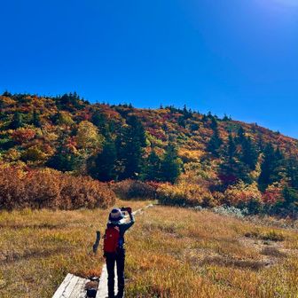 2026錦の屏風🍁🍃🍂✨
最高です😍