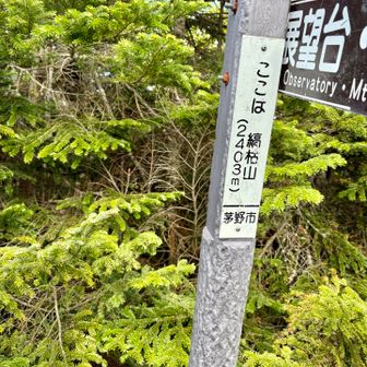 気づいたら、縞枯山の山頂通り越してた。
山の名前が入ってるから、取り敢えず写真撮っておきました。