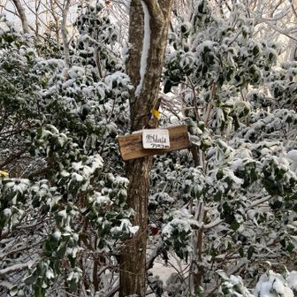 権現山はガスってたので適当にピーク踏んで下山することにしました