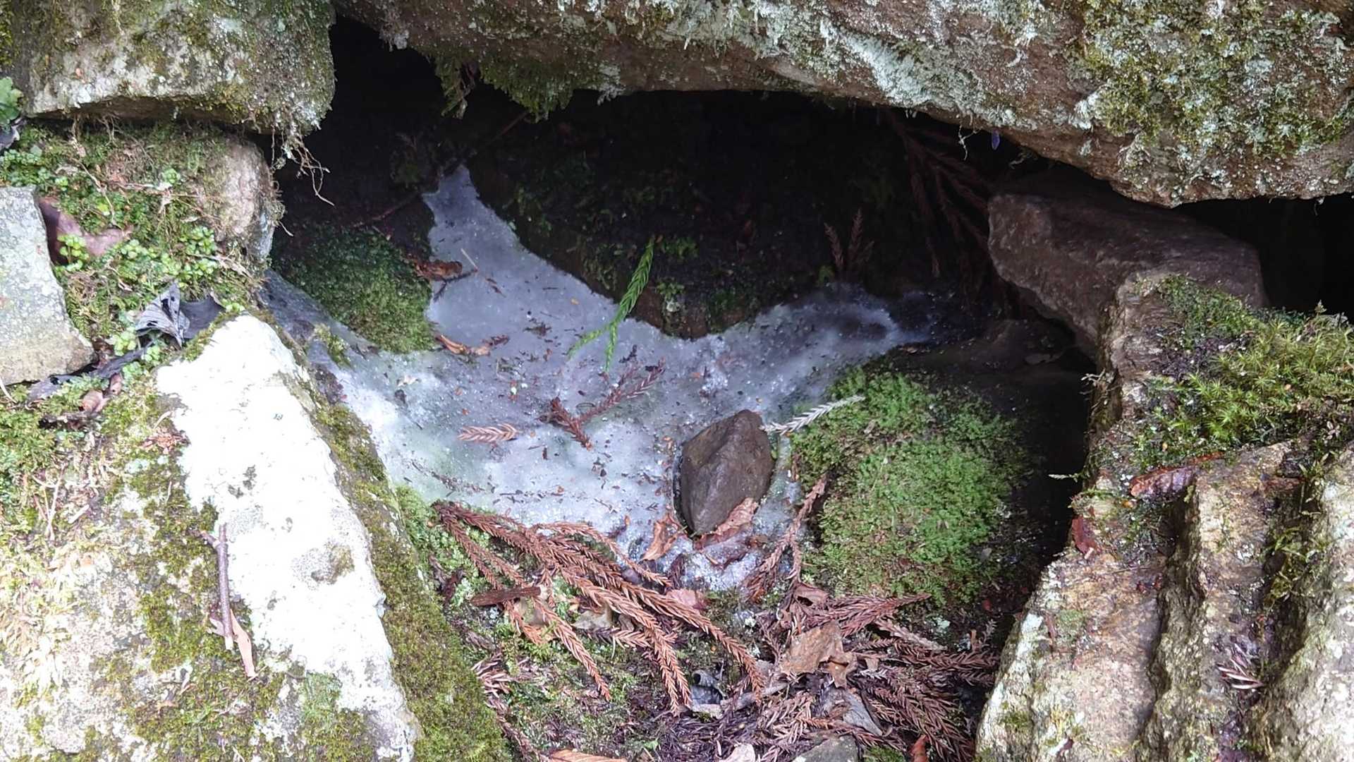 カチカチの氷‼️