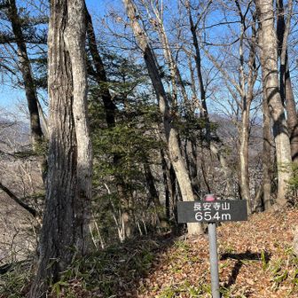 ピーク、落ち葉の滑りそうな（滑る）下り、そしてまた急登の繰り返し