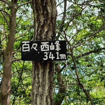 百々西嶺 山頂