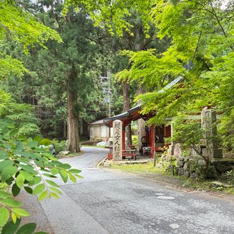 無事にgezaーnnしました

お参りします
お堂守 の方より コーヒーとクッキーをいただき お話しも聴け 佳き日になりました
