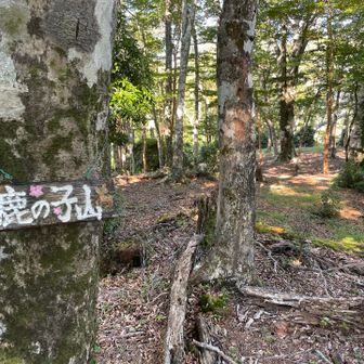 鹿の子山、登頂です♪