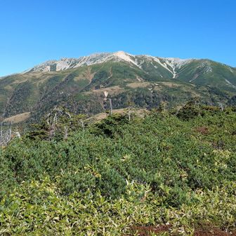 太郎山からの薬師岳も素晴らしい!