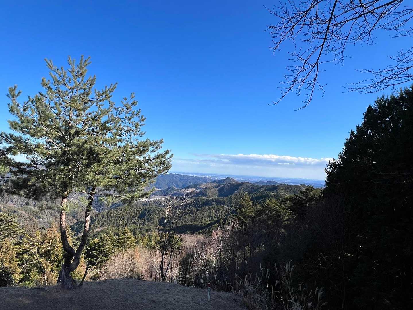 東吾野駅-天覚山-吾野ノ頭-大高山-栃屋ノ頭-六ツ石ノ頭- 縦走コースの写真