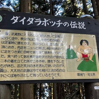 ダイダラボッチの伝説、結構各地にある？