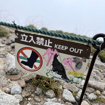 自然を破壊したらダメ