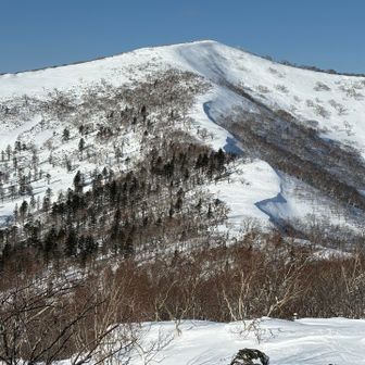 ここから見ると、でっかいなーー✨