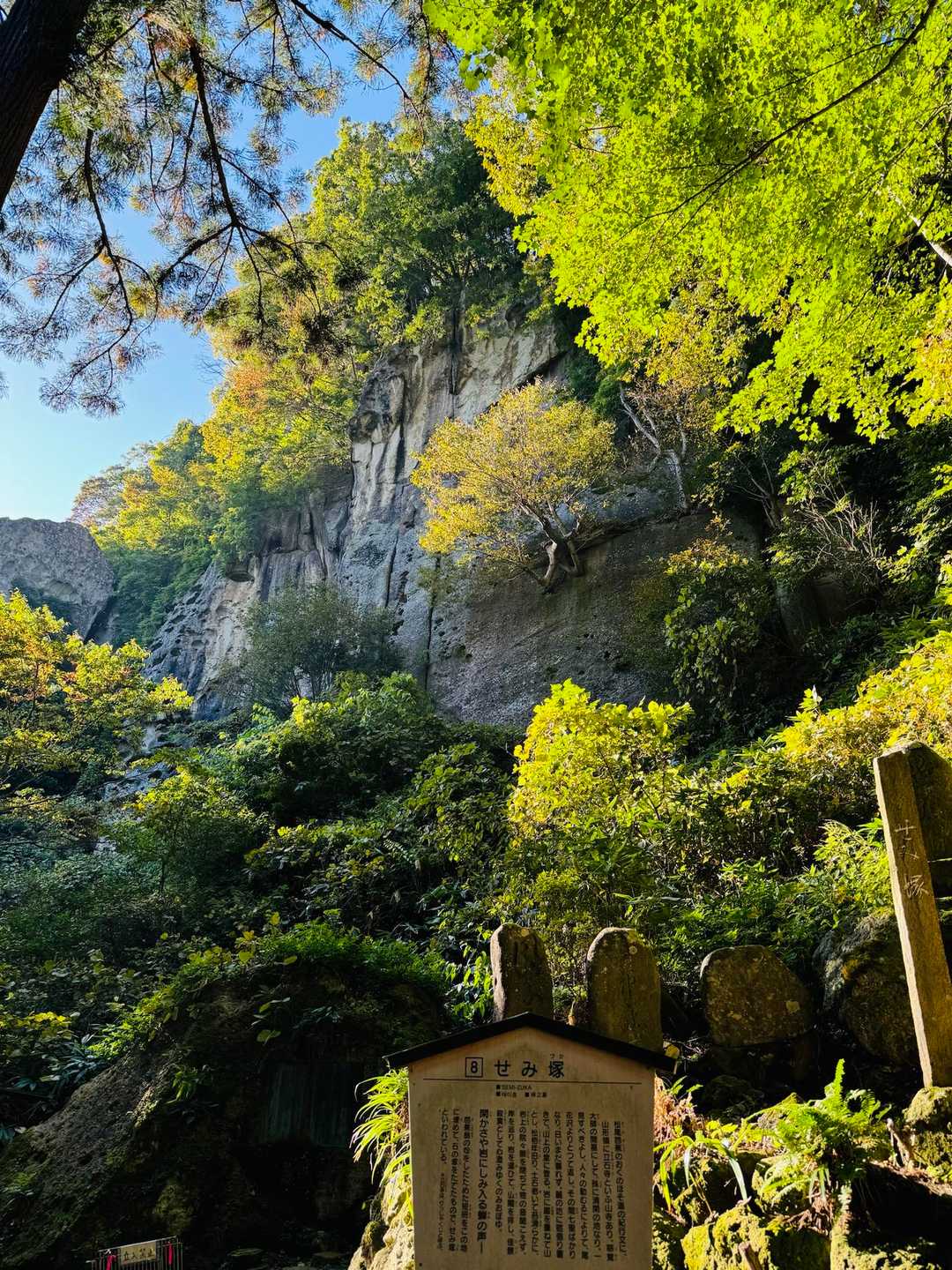 紅葉にはもう少し