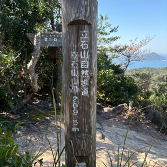 程なくして山頂！