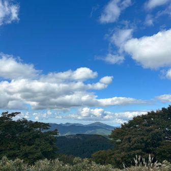 東山