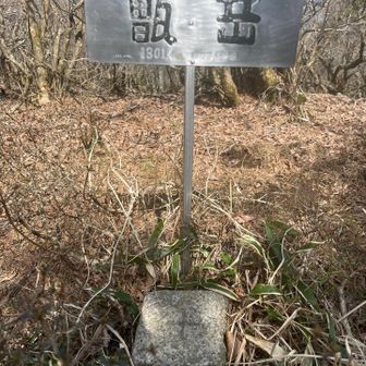 甑岳1301.38三等三角点
ステンレス板　尾岳(甑島) 鬼岳(福江島)
と同じ方？