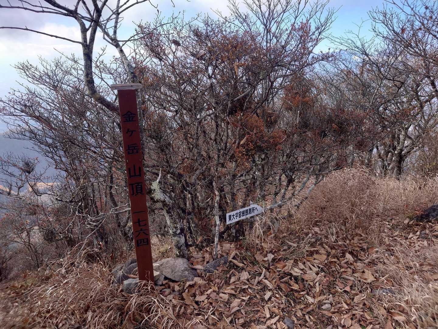 金ヶ岳山頂
誰もいませんでした～