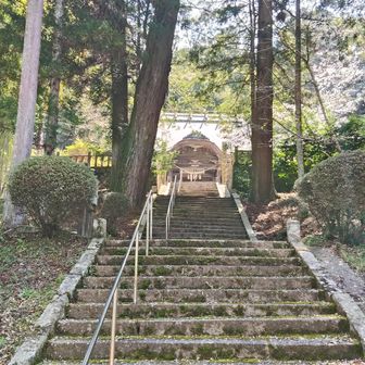 社殿⛩️に向います
