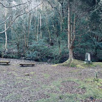 ここに理想郷を作ろうとした日高さんのお宅の跡地
紅葉シーズンには🍁の絨毯で絶景みたいです