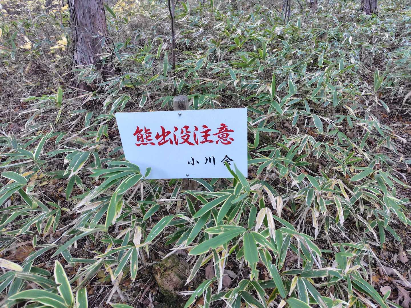 湯ヶ峰 往復コースの写真