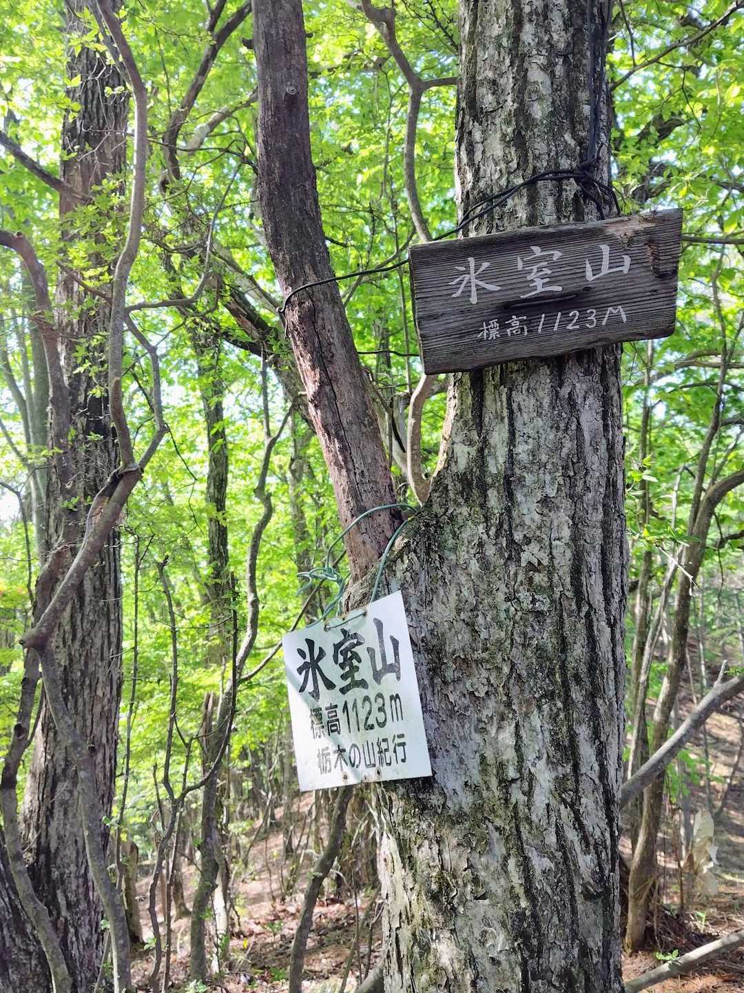 貸切状態の氷室山は癒し系木陰山頂

お茶とバナナでほっとひと息
