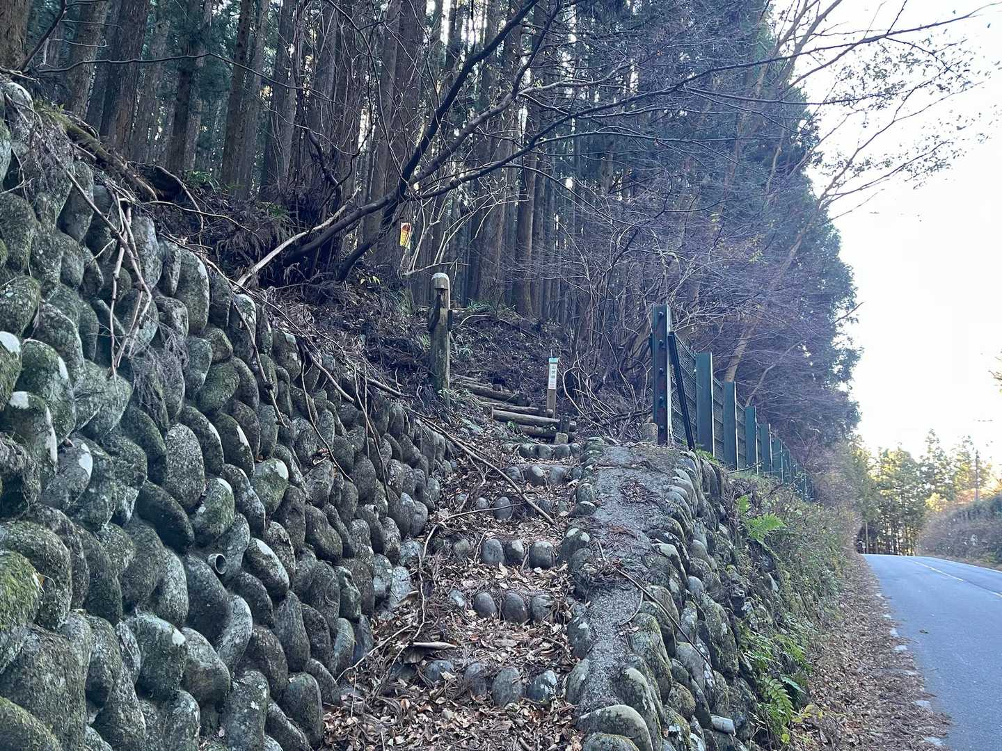 今日はこちらから。