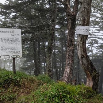 池口岳北峰