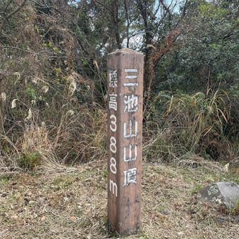 五座目⛰️三池山ゲット
