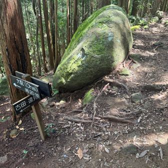 また分岐