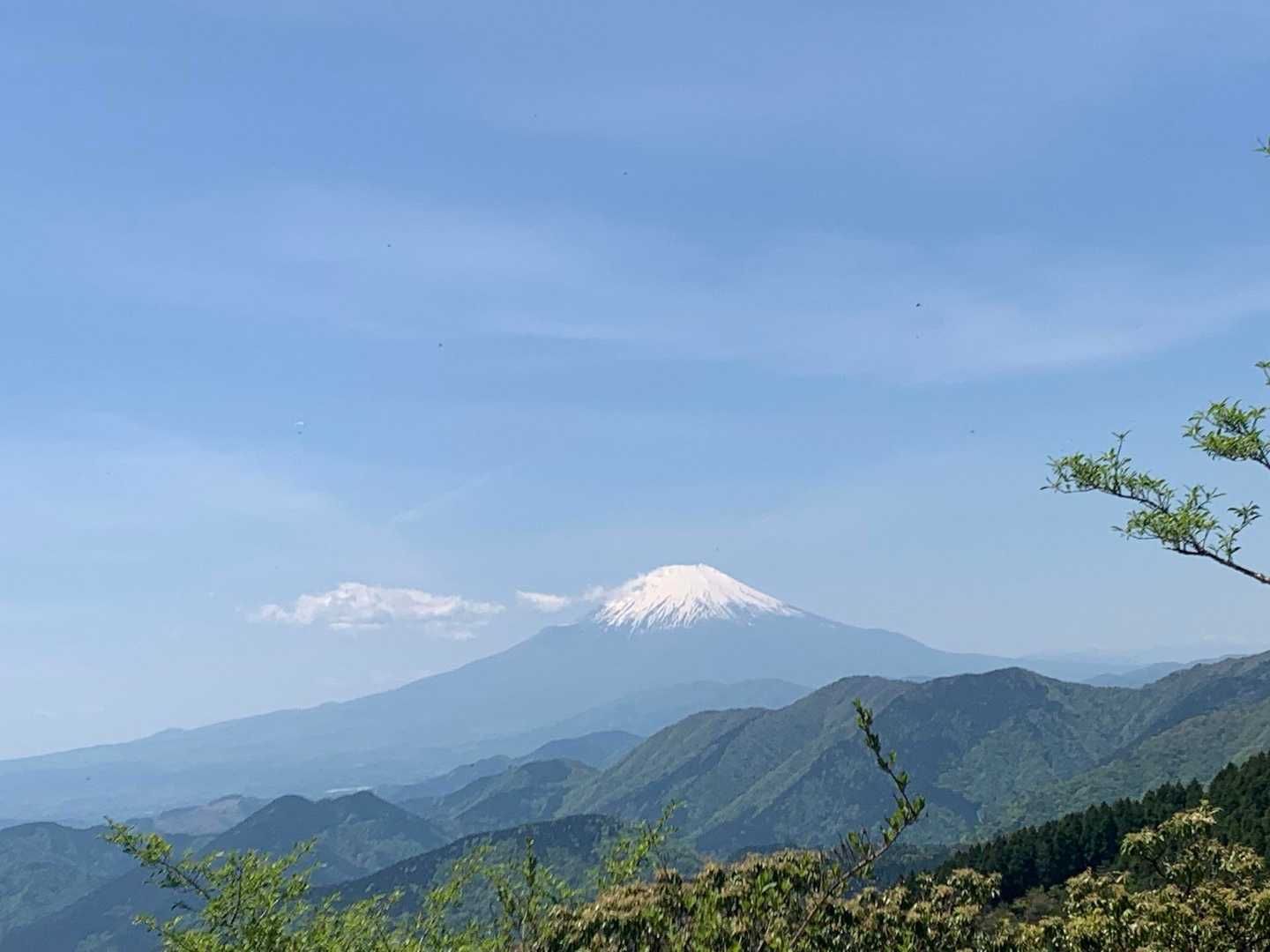 もう一枚🗻