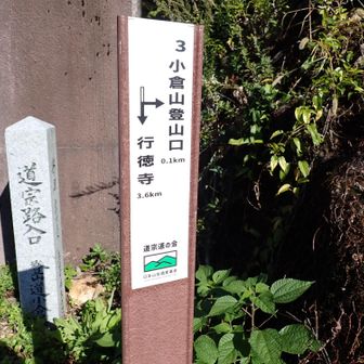 この「道宗道の会」さんが建てた、変化点には必ずあった案内標識が秀逸過ぎ。お陰でまず迷わない。高清水やっけ。場所はうろ覚えですが、標識が真っ二つに折れてたな。
ここから小倉山に向けてトレイルイン。
