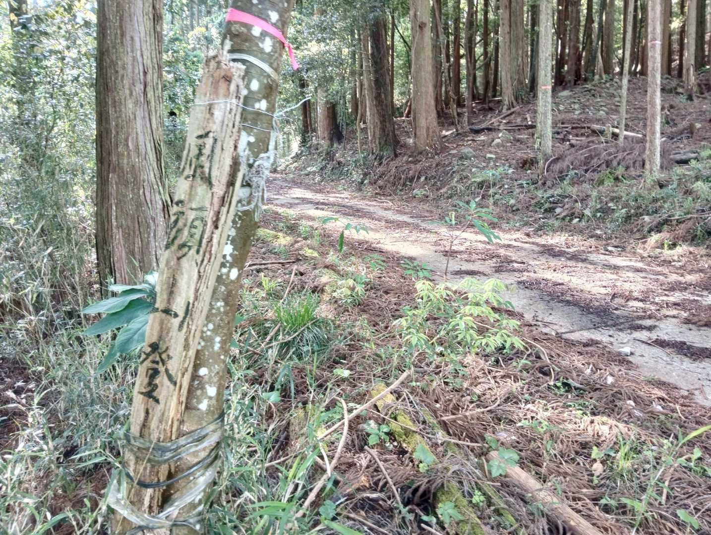 風頭山登山口🚶