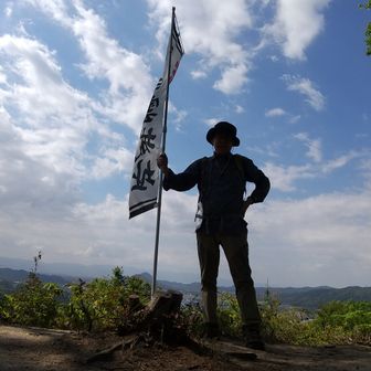 ファイヤフライ