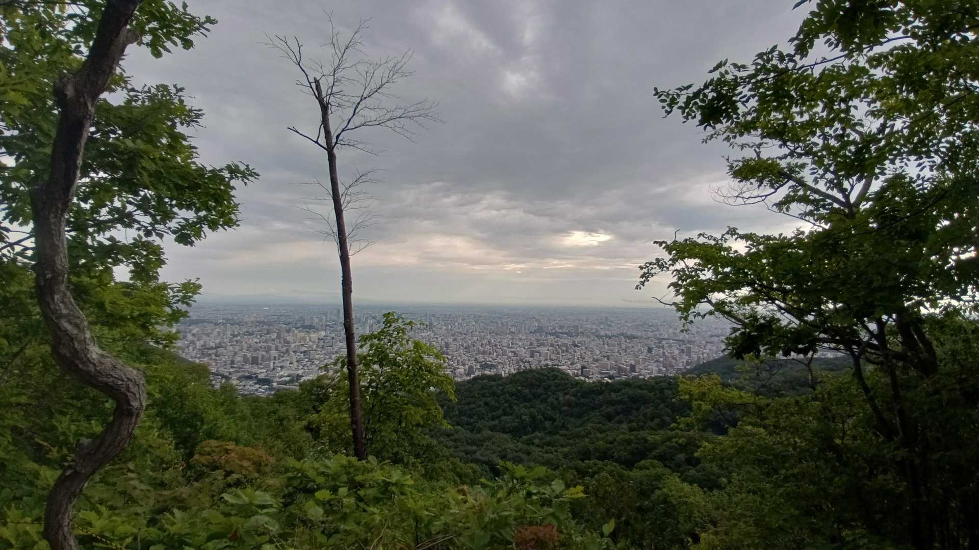 札幌シテー
暑いよ…