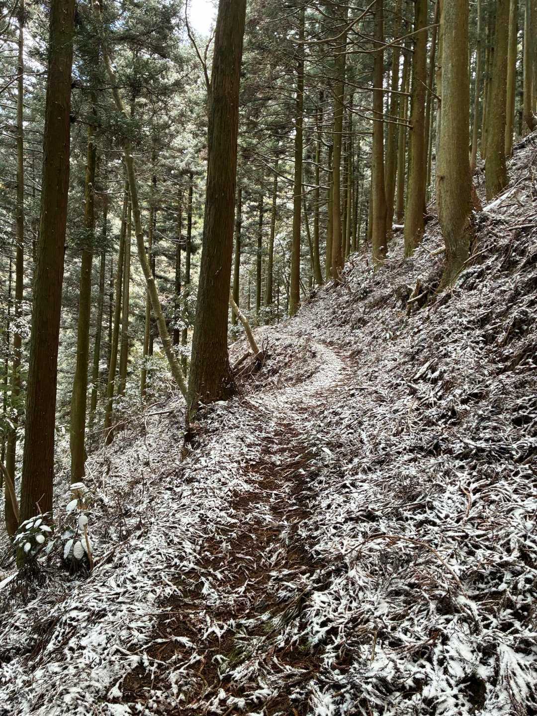 ここら辺は風裏で、若干の汗💦
心地よい👌