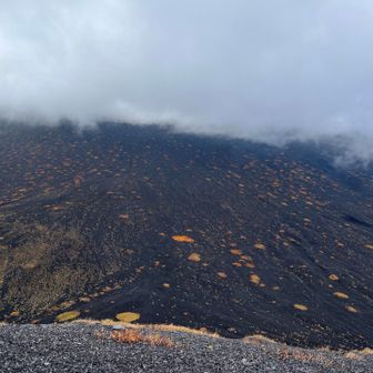 上双子山から雄大な富士山裾野
雲に隠れて見えません🙇‍♀️