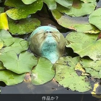 こわ