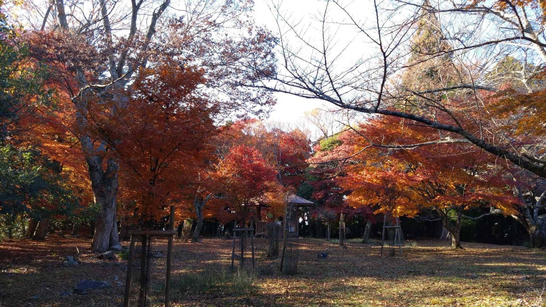 東屋ありました