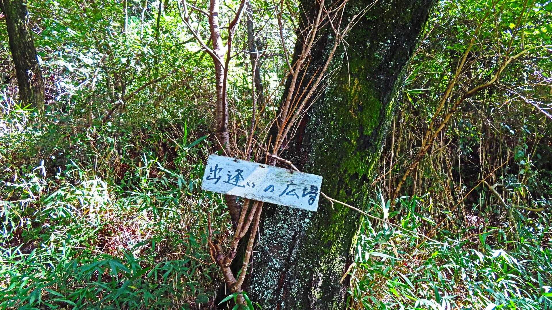 ここから二上山雌岳に行こうとしたら、おじさんに声かけられ
雌岳に行くんやったらこっちの道の方が近道やで！と...
細い道(ヤマップには無い道)を大丈夫かな？と思いながら進む💦
結果！ほんとに近道でした😊💕