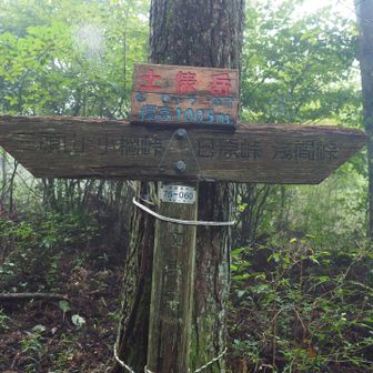 土俵岳（1005m）登頂

ちなみに、この先にある丸山から上野原方面に下ると「ふんどし山」があり、
関取岳、土俵岳、ふんどし山を合わせて相撲三山と呼ばれているようです
三山を踏破すると勝負運が上がる⤴️とか噂を流したら、人気コースになる‥かな？