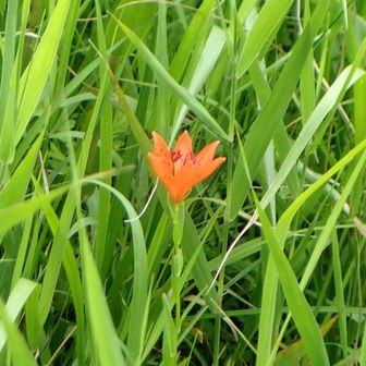 やっぱり遠いねー！
タデ原湿原を散策予定が、時間が押していたからそのまま温泉へ😭
