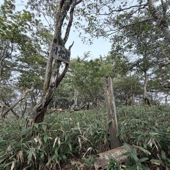 子地蔵⛰️展望なき山頂