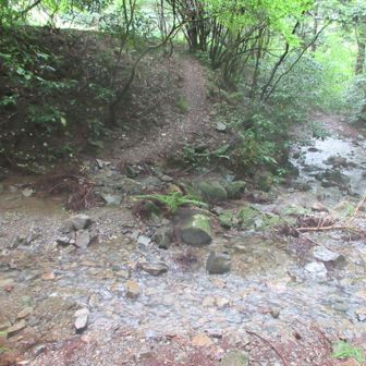 正面の登りは☓
渡渉してその右側が正解
