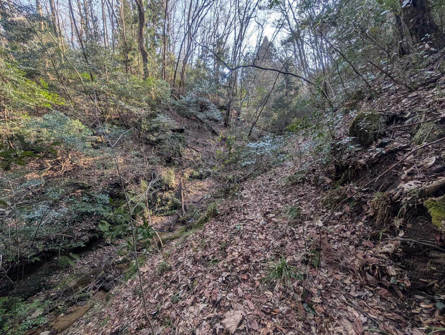 韮草山 往復コースの写真