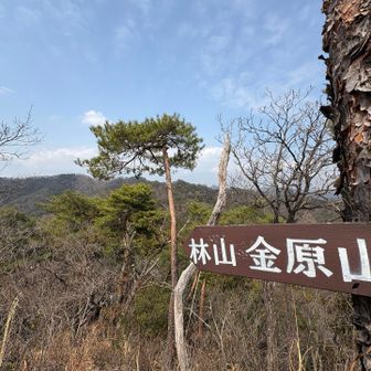 金原山方面を望む。