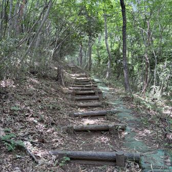 少林寺方面へ。
地味に階段がキツい😓