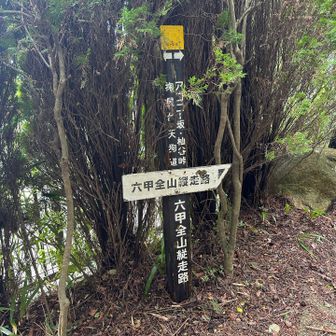一回休憩はさむと頑張れる
ホンマかいな